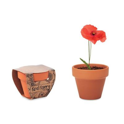 Image of Poppy Terracotta Pot